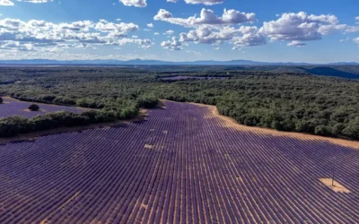 Fotografía y vídeo con dron
