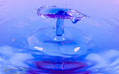 Fotografía de gotas de agua